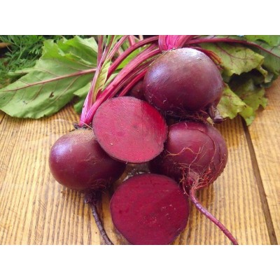 Семена свеклы столовой круглая Детройт 2, 100 гр., Agri-Saaten