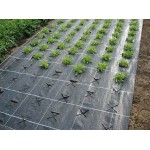 Агротканина 100г/кв.м 1,1м х 100м чорна мульчуюча Agreen EU (складений в 1,1м) Агротканина 100г/кв.м 1,1м х 100м чорна мульчуюча Agreen EU (складений в 1,1м)