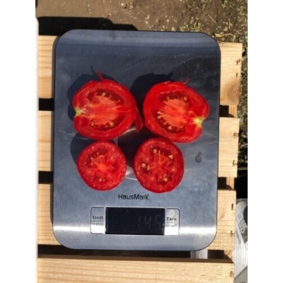  Семена детерминантного томата 9969 F1, среднеранний, 100000 семян, Lark Seeds