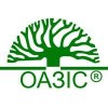 Оазис