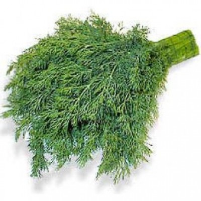 Семена укропа Адмирал (0,1кг), Lark Seeds