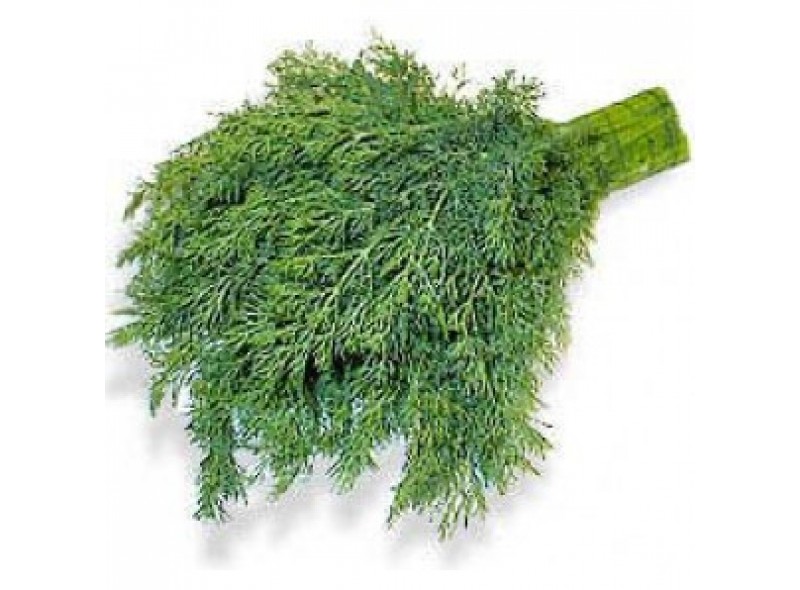 Семена укропа Адмирал (0,1кг), Lark Seeds Семена укропа Адмирал (0,1кг), Lark Seeds