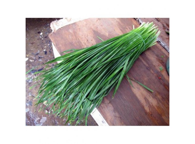 Семена лука на перо Бая Верде (Baja Verde) 100 000 семян Seminis (Голландия) Семена лука на перо Бая Верде (Baja Verde) 100 000 семян Seminis (Голландия)