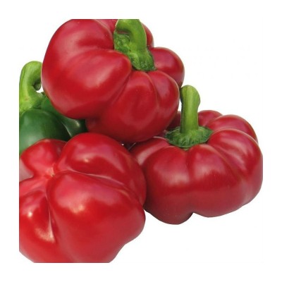 Семена перца сладкого Бихар F1 (среднеранний) томатного типа, (500 нас.) Lark Seeds