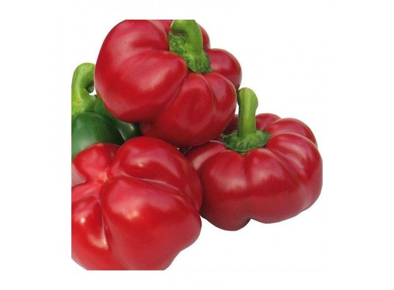 Семена перца сладкого Бихар F1 (среднеранний) томатного типа, (500 нас.) Lark Seeds