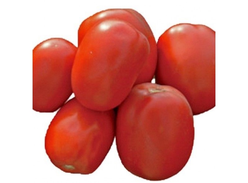 Семена томата CXD 265 F1 (10 000 семян), Lark Seeds