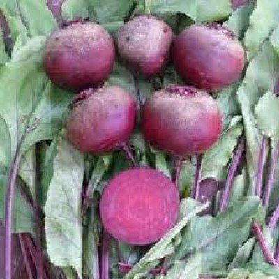 Семена свеклы столовой Детройт Дарк Ред F1 (5кг), Lark Seeds
