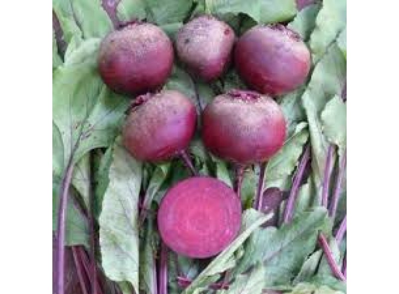 Семена свеклы столовой Детройт Дарк Ред F1 (0,4кг), Lark Seeds