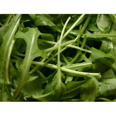 Семена рукколы Экстрема (25г), Libra Seeds (Erste Zaden)