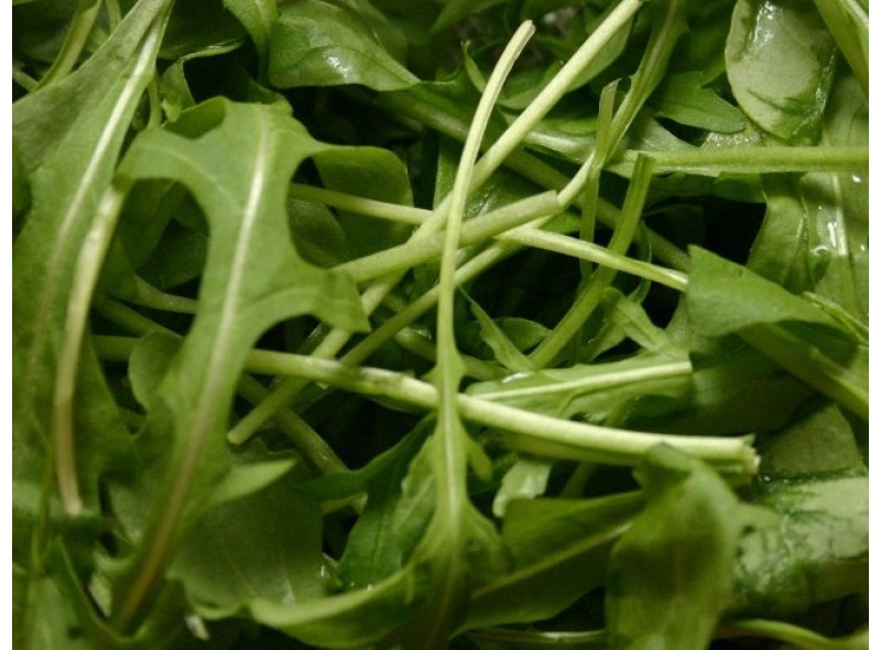 Семена рукколы Экстрема (25г), Libra Seeds (Erste Zaden) Семена рукколы Экстрема (25г), Libra Seeds (Erste Zaden)