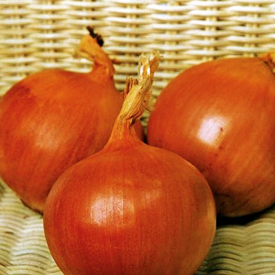 Семена лука Флагман F1 (250 000 семян), Libra Seeds (Erste Zaden)