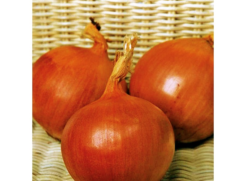 Семена лука Флагман F1 (250 000 семян), Libra Seeds (Erste Zaden)