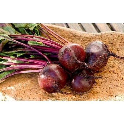 Семена свеклы столовой Гарольд F1 (5кг) Lark Seeds