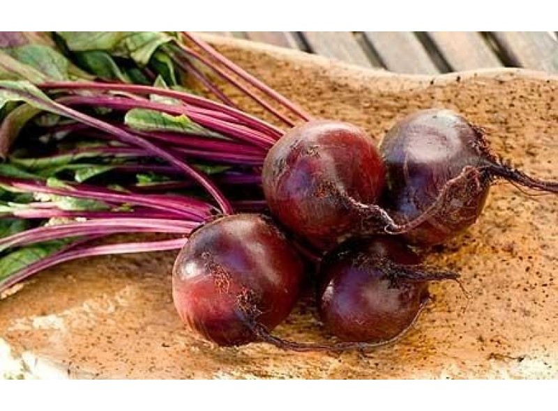 Семена свеклы столовой Гарольд F1 (5кг) Lark Seeds