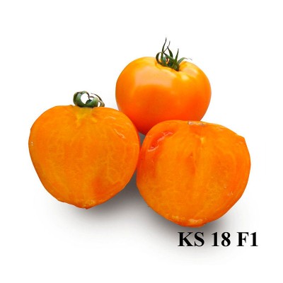 Семена томата Айсан (KS 18 F1) (1000 семян), Kitano, детерминантный