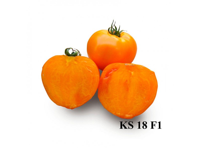 Семена томата Айсан (KS 18 F1) (1000 семян), Kitano, детерминантный