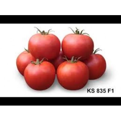 Семена томата Хайд (KS 835 F1) (1000 семян), Kitano, детерминантный
