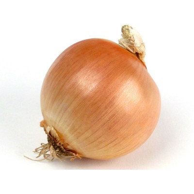 Семена лука репчатого Мелори F1/Mallory F1 (250000 семян) precision seeds, Bejo