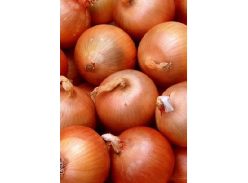 Семена лука Панчер F1 (100 000 семян), Lark Seeds