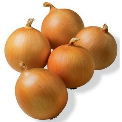 Семена лука Команч F1 (250 000 семян), Libra Seeds (Erste Zaden)