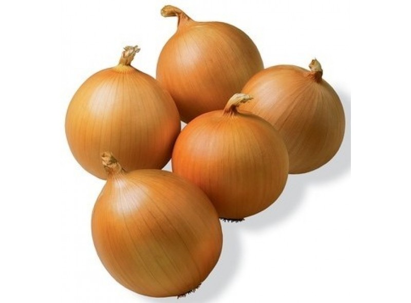 Семена лука Команч F1 (250 000 семян), Libra Seeds (Erste Zaden)