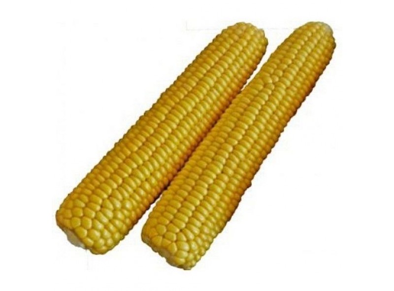 Семена кукурузы сахарной Раннее Наслаждение F1 (2500 нас.) Lark Seeds