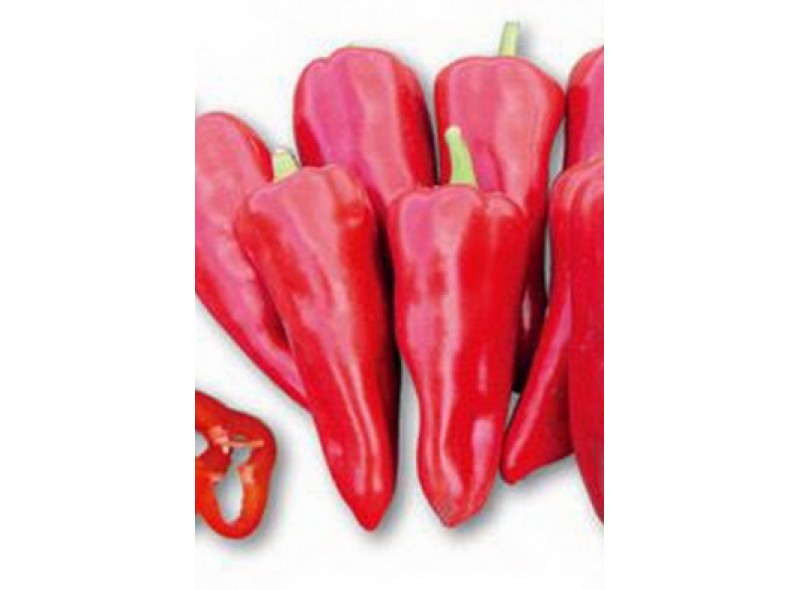 Перец сладкий Ред Каунт F1 (ранний) конический красный, (1000 нас.) Lark Seeds