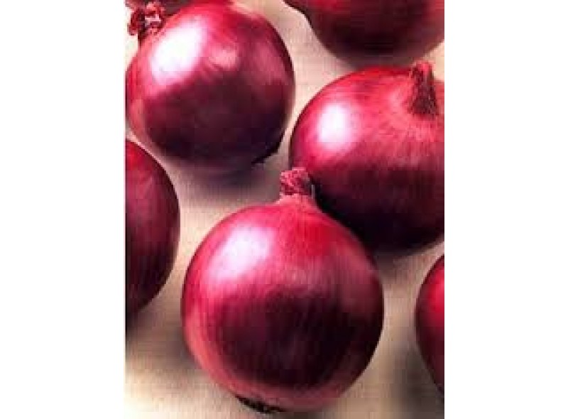 Семена лука красного Ред Лаки F1 (100 000 семян), Lark Seeds