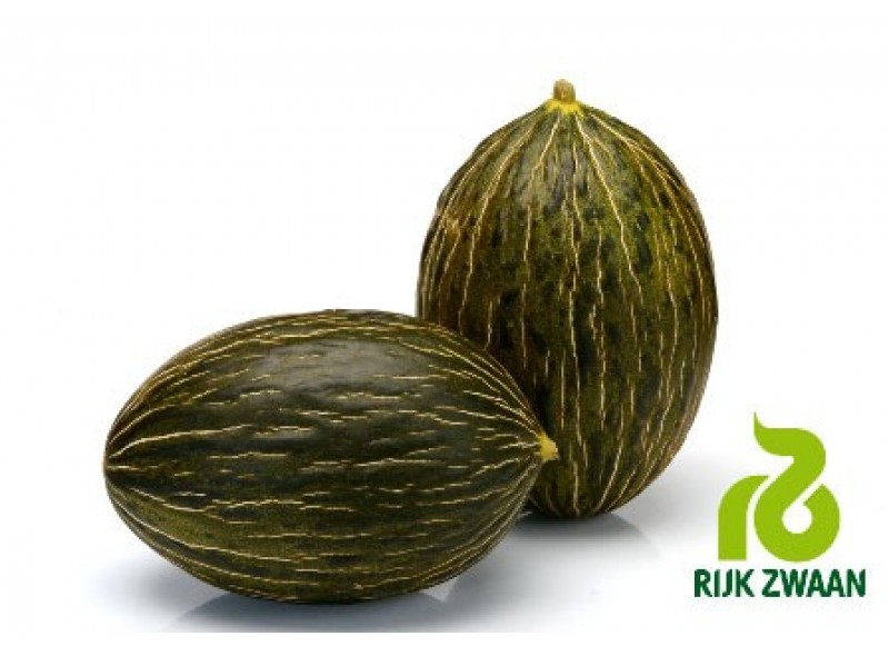 Насіння дині Рікура F1/Ricura RZ (1000 насінин), Rijk Zwaan