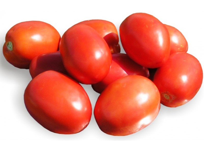 Семена томата детерминантного Рио Фуэго (115 дней) сливообразный (0,5 кг) Lark Seeds