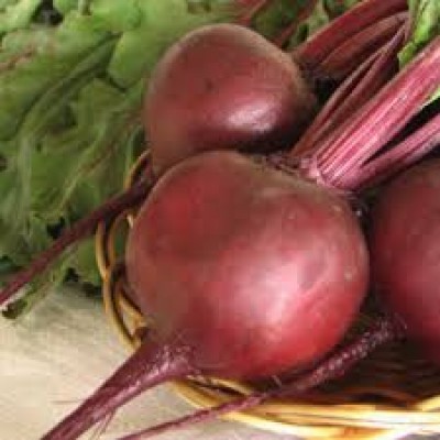 Семена свеклы Руби Бой F1 (25 000 семян), Libra Seeds (Erste Zaden)