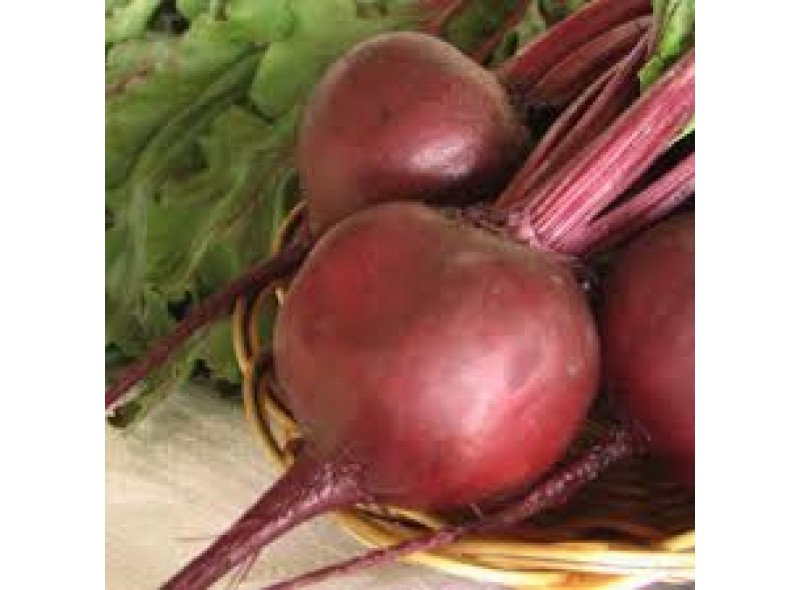 Семена свеклы Руби Бой F1 (25 000 семян), Libra Seeds (Erste Zaden) Семена свеклы Руби Бой F1 (25 000 семян), Libra Seeds (Erste Zaden)
