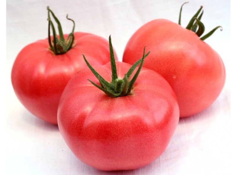 Семена томата Сан Парадайс F1 (М177) (1000 семян), Libra Seeds (Erste Zaden) Семена томата Сан Парадайс F1 (М177) (1000 семян), Libra Seeds (Erste Zaden)