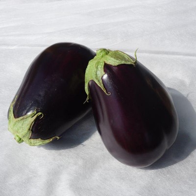 Семена баклажана Сара (Sara F1) 500 сем., Cora Seeds