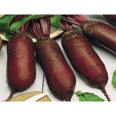 Буряк ЦИЛИНДРА 0,5кг GRIFFATON