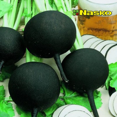 Семена редьки Дуэнья F1 0.5 кг Nasco, Украина