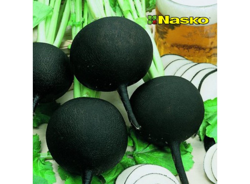 Семена редьки Дуэнья F1 5 кг Nasco, Украина
