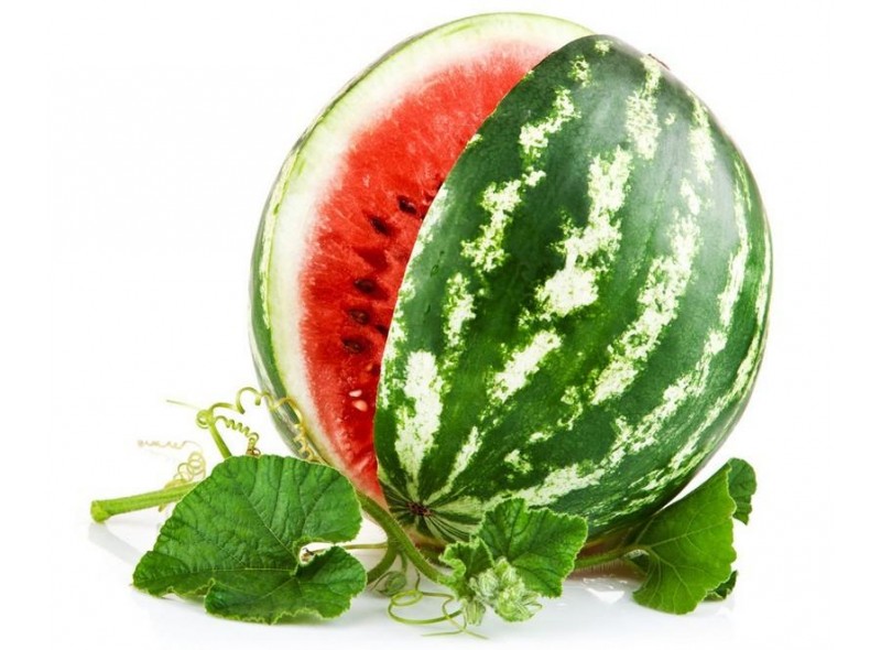 Насiння кавуна Блейк (1000шт.), Libra Seeds (Erste Zaden)