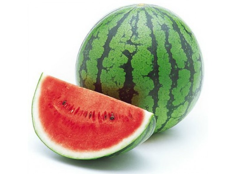 Насiння кавуна Бакай (1000шт.), Libra Seeds (Erste Zaden)