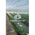 Сетка шпалерная 17см х 15см, 1,7м х 500м HORTINET 11FG белая цветочная, Tenax, Италия
